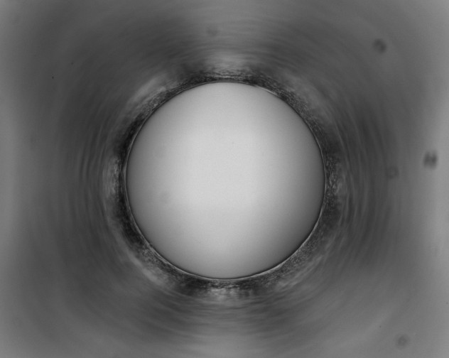 X0000100750744200807031335