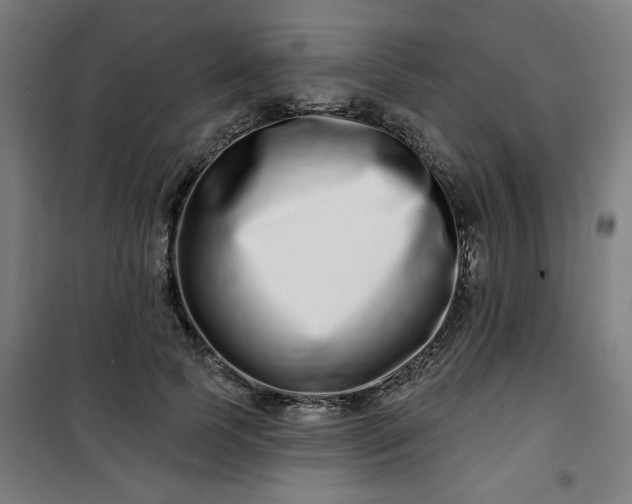 X0000100750745200807031335