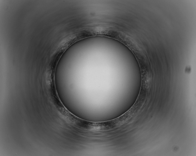 X0000100750746200807031335