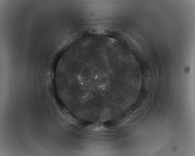 X0000100750747200807031335