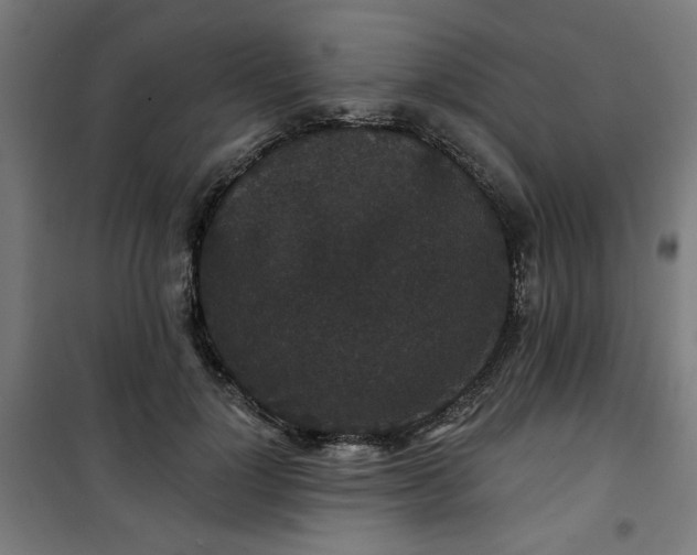 X0000100750748200807031335