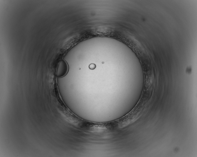 X0000100750749200807031335