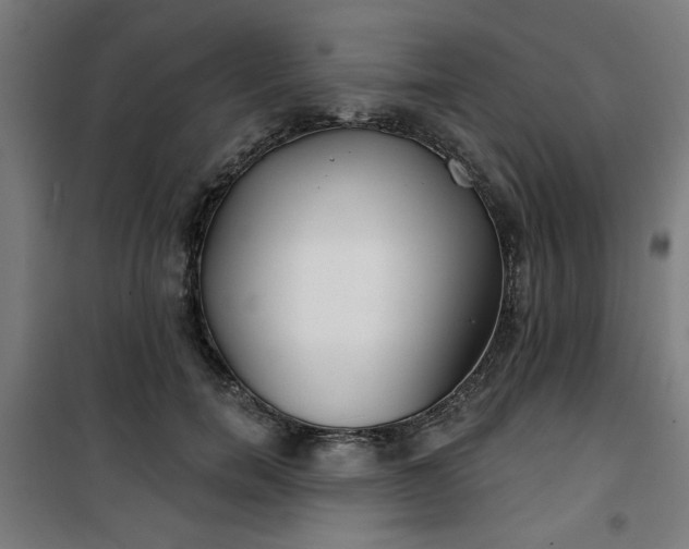 X0000100750750200807031335