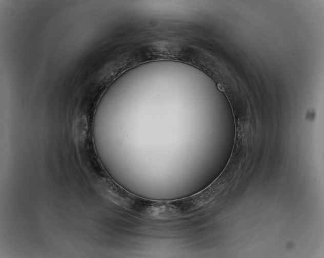 X0000100750752200807031335