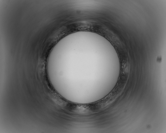 X0000100750753200807031335