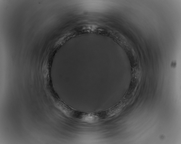 X0000100750754200807031335