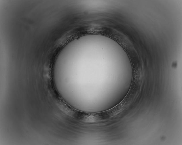 X0000100750755200807031335