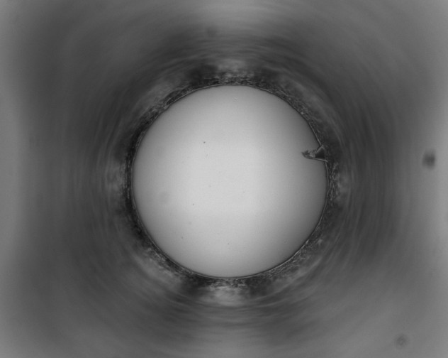 X0000100750756200807031335