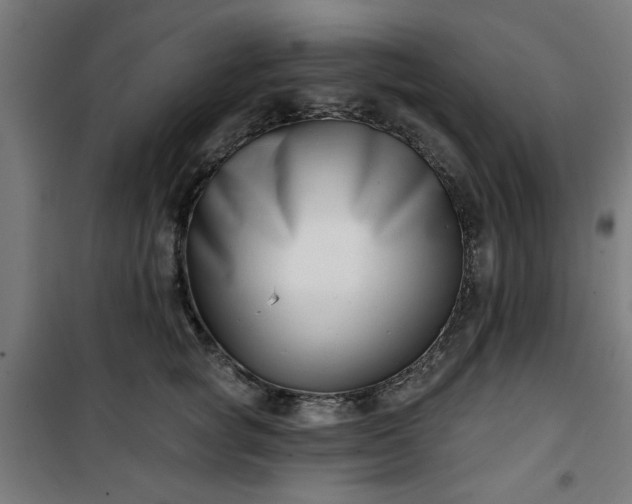 X0000100750757200807031335