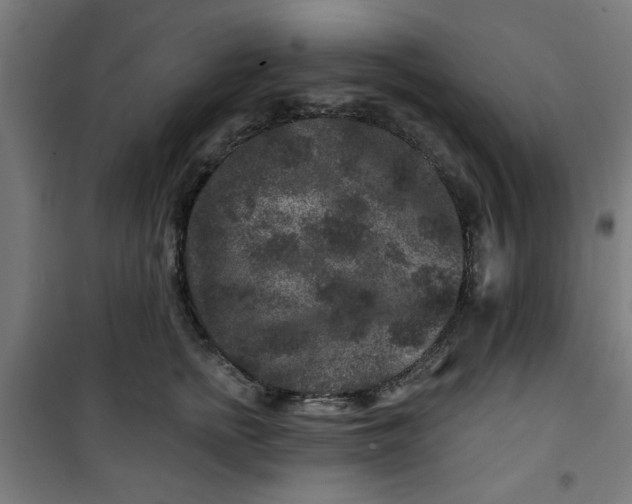 X0000100750758200807031335