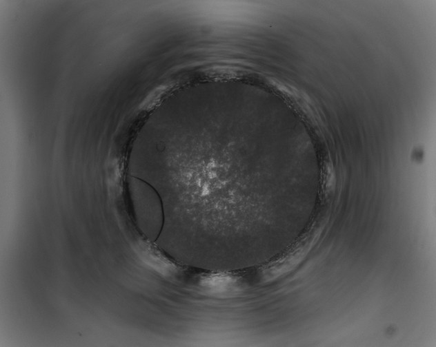 X0000100750759200807031335