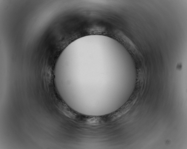 X0000100750761200807031335