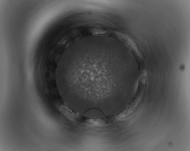 X0000100750763200807031335