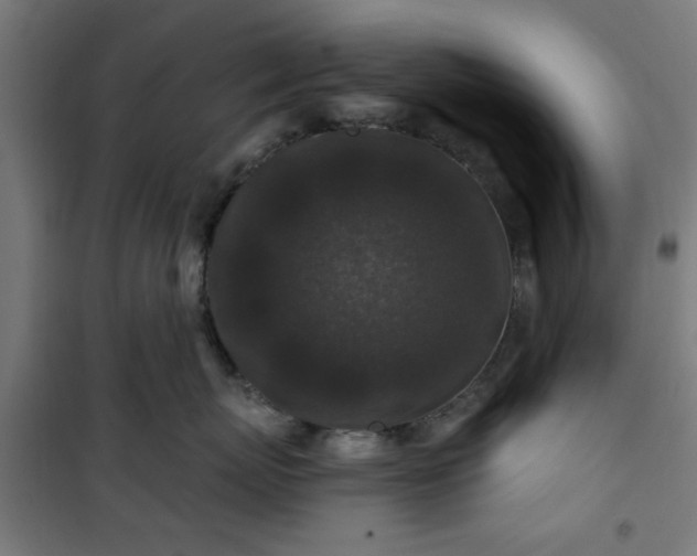 X0000100750767200807031335