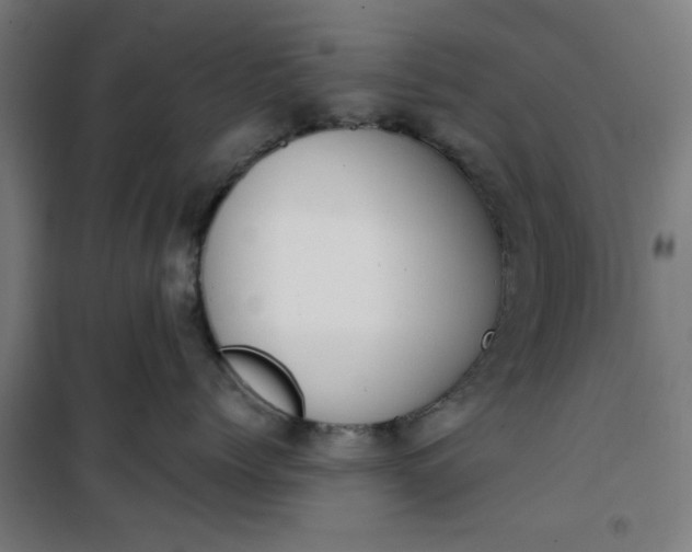 X0000100750768200807031335