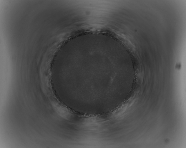 X0000100750769200807031335