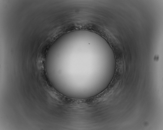 X0000100750770200807031335