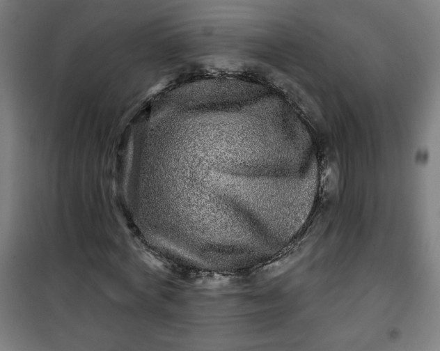 X0000100750772200807031335