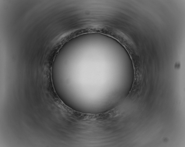 X0000100750773200807031335