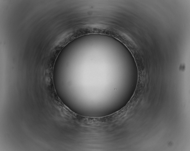 X0000100750774200807031335