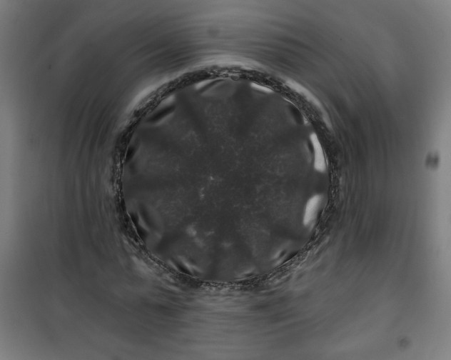 X0000100750775200807031335