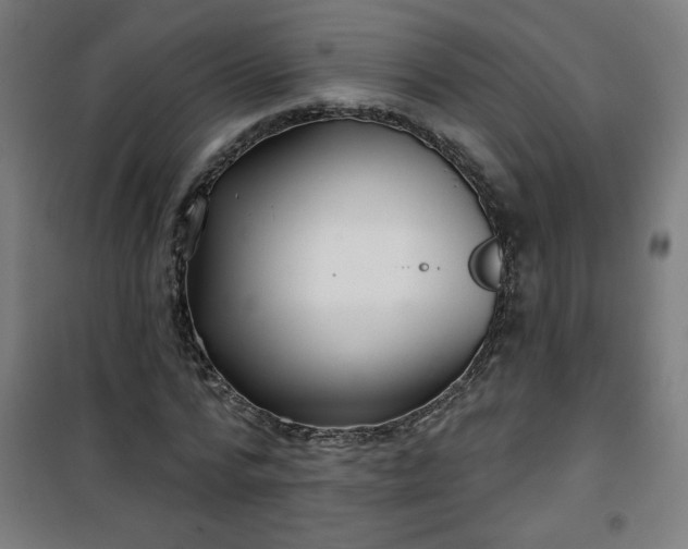 X0000100750776200807031334