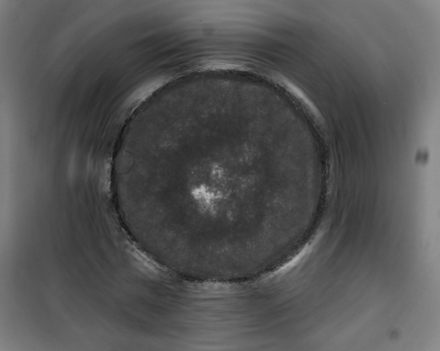 X0000100750777200807031334