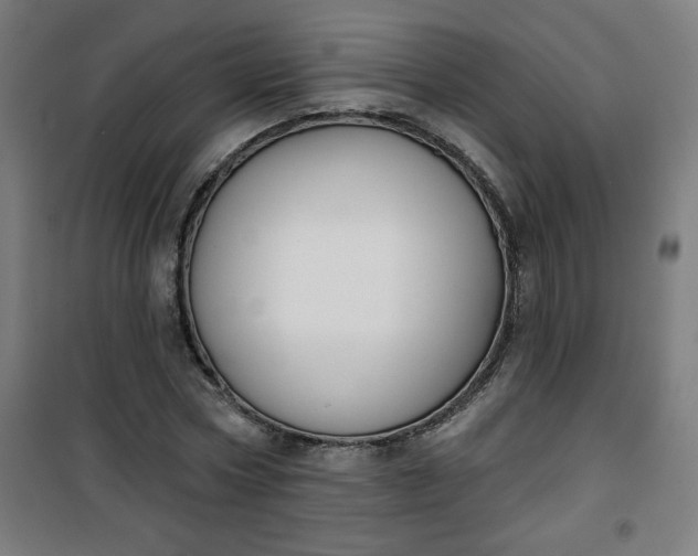 X0000100750778200807031334