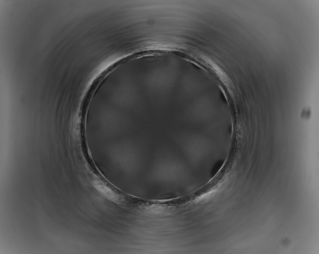 X0000100750779200807031334