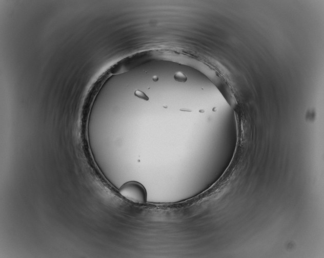 X0000100750780200807031334