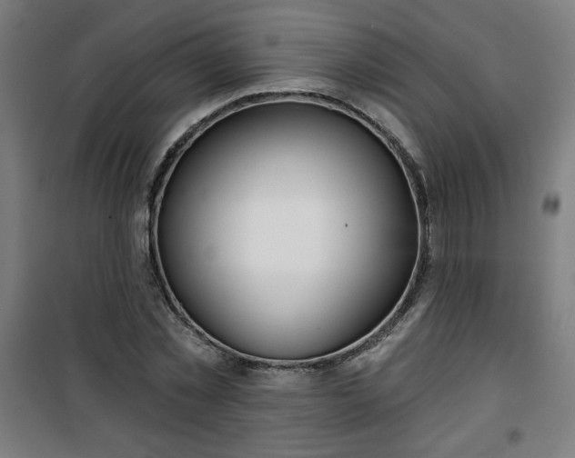 X0000100750781200807031334