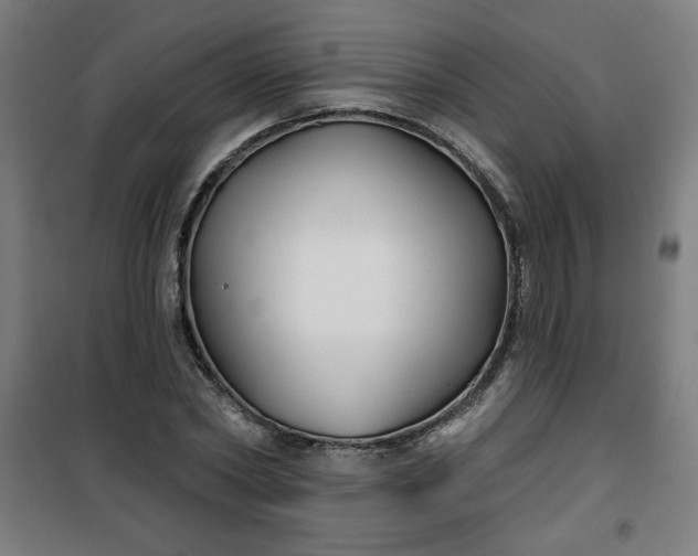 X0000100750782200807031334