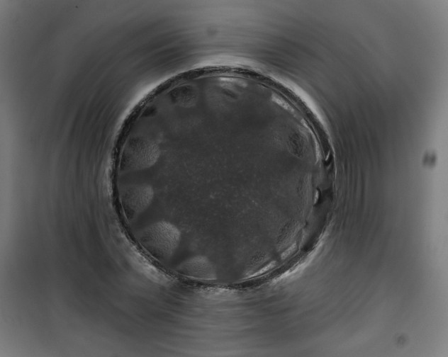 X0000100750783200807031334