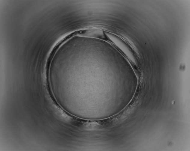 X0000100750784200807031334