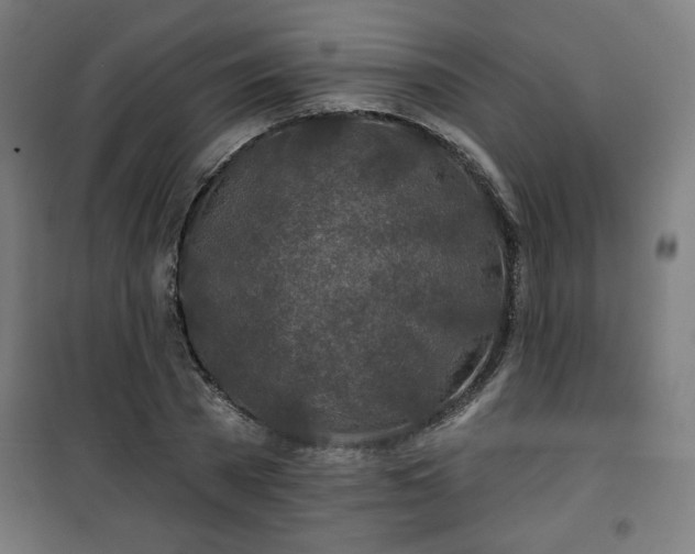 X0000100750785200807031334