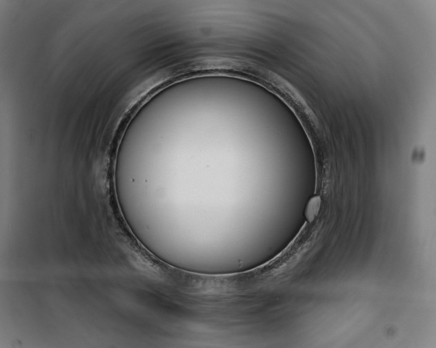 X0000100750786200807031334