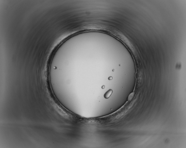 X0000100750787200807031334