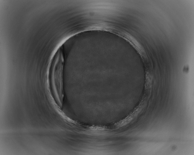 X0000100750788200807031334