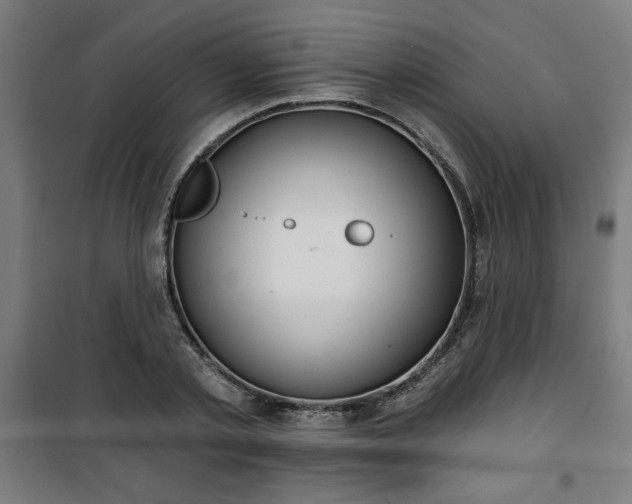 X0000100750789200807031334