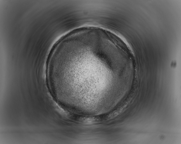 X0000100750791200807031334