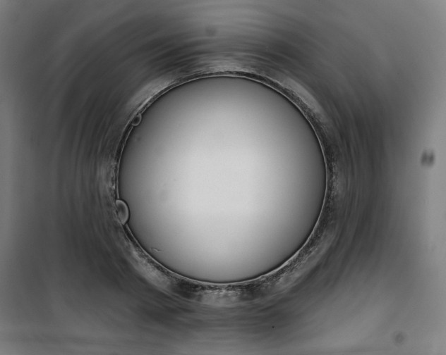 X0000100750793200807031334