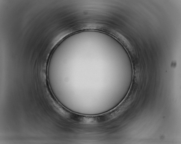 X0000100750794200807031334