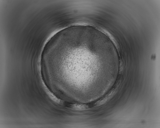 X0000100750795200807031334