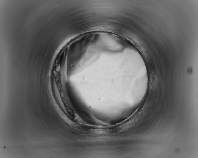 X0000100750796200807031334