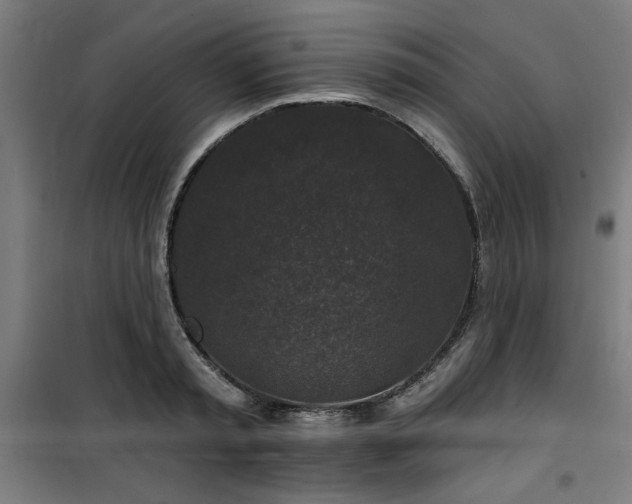 X0000100750797200807031334