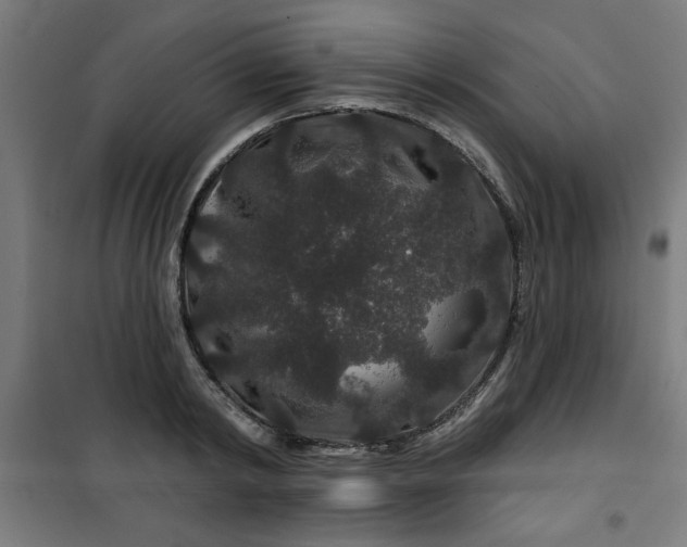 X0000100750798200807031334