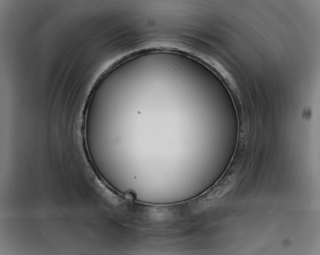 X0000100750799200807031334