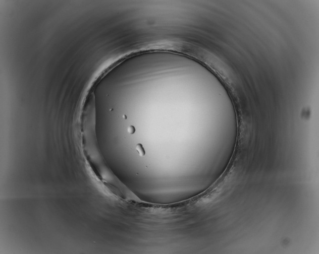 X0000100750800200807031334