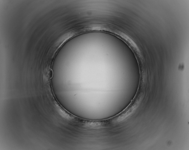 X0000100750801200807031334