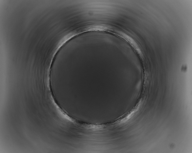 X0000100750802200807031334